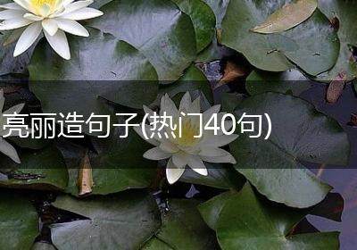 亮丽造句子(热门40句)