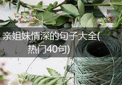 亲姐妹情深的句子大全(热门40句)