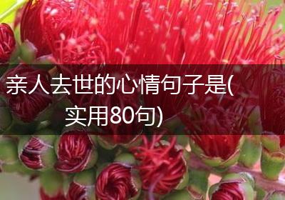 亲人去世的心情句子是(实用80句)