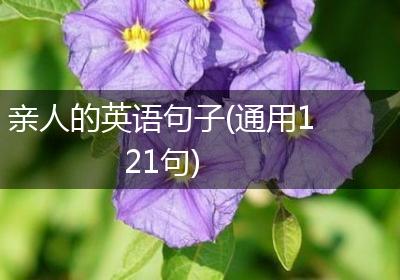 亲人的英语句子(通用121句)