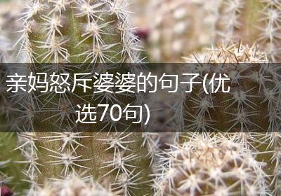 亲妈怒斥婆婆的句子(优选70句)