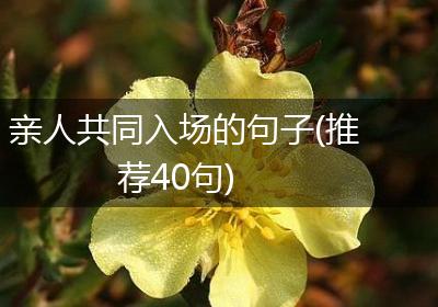 亲人共同入场的句子(推荐40句)