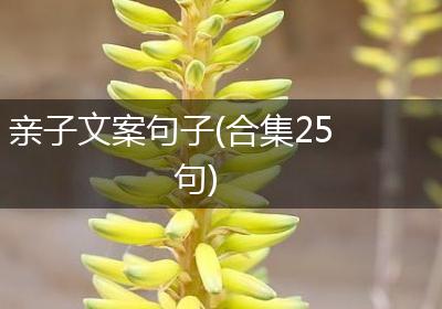 亲子文案句子(合集25句)