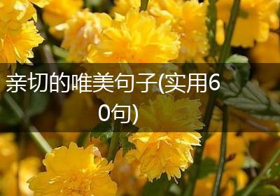 亲切的唯美句子(实用60句)