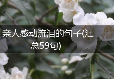 亲人感动流泪的句子(汇总59句)