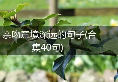 亲吻意境深远的句子(合集40句)