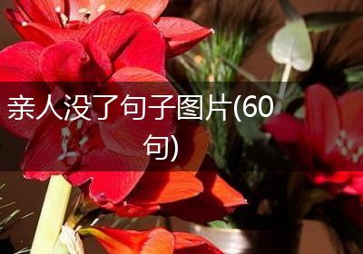 亲人没了句子图片(60句)