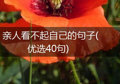 亲人看不起自己的句子(优选40句)