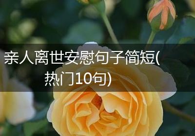 亲人离世安慰句子简短(热门10句)