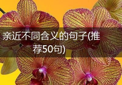 亲近不同含义的句子(推荐50句)