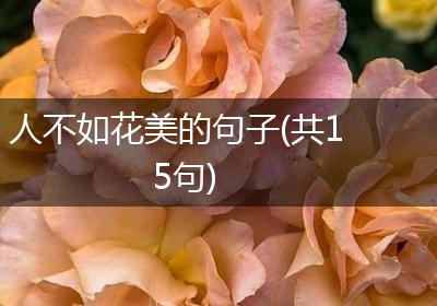 人不如花美的句子(共15句)