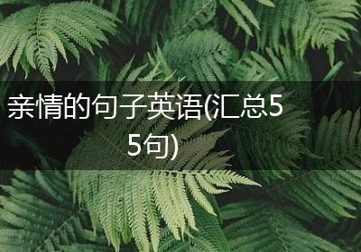 亲情的句子英语(汇总55句)