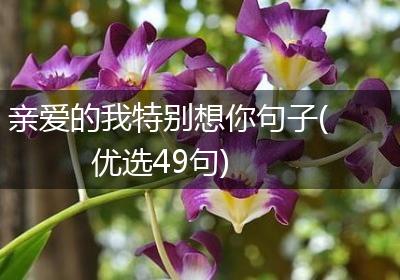 亲爱的我特别想你句子(优选49句)