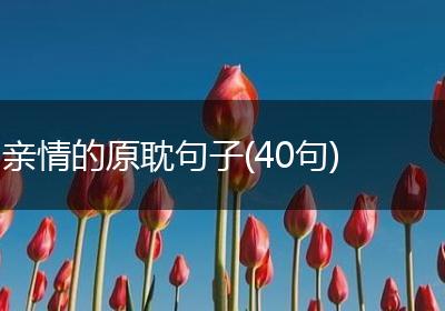 亲情的原耽句子(40句)