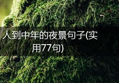 人到中年的夜景句子(实用77句)