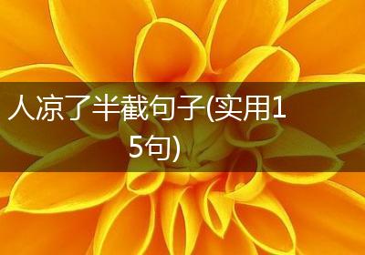 人凉了半截句子(实用15句)