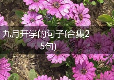 九月开学的句子(合集25句)