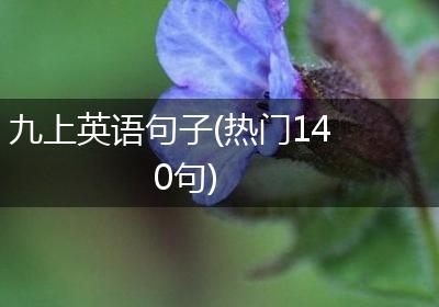 九上英语句子(热门140句)