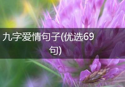 九字爱情句子(优选69句)