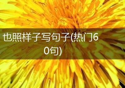 也照样子写句子(热门60句)