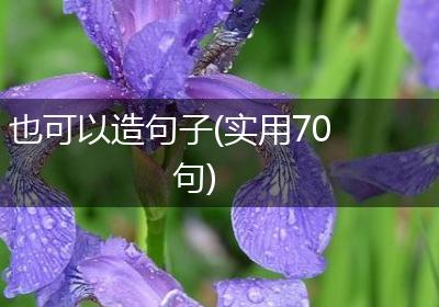 也可以造句子(实用70句)