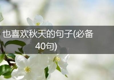也喜欢秋天的句子(必备40句)