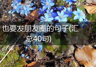 也要发朋友圈的句子(汇总40句)