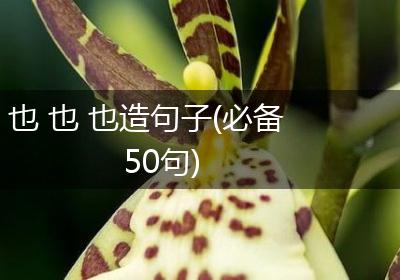 也 也 也造句子(必备50句)