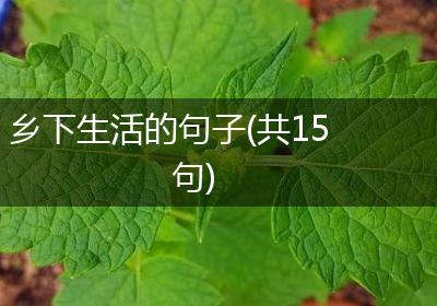 乡下生活的句子(共15句)