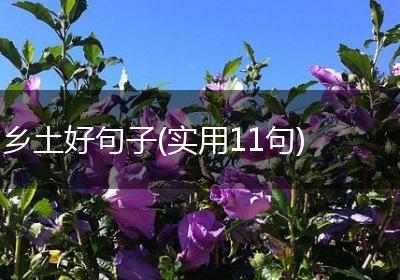 乡土好句子(实用11句)
