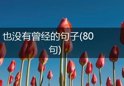 也没有曾经的句子(80句)