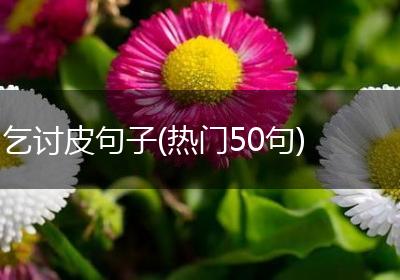 乞讨皮句子(热门50句)