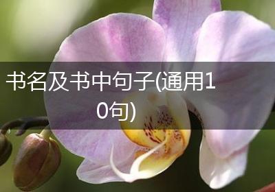 书名及书中句子(通用10句)