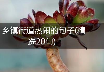 乡镇街道热闹的句子(精选20句)