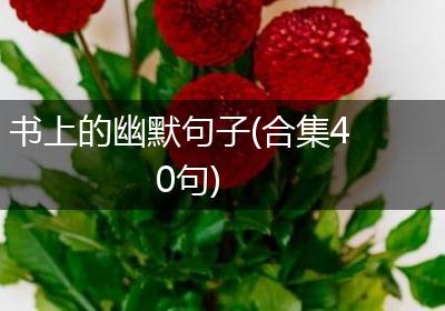 书上的幽默句子(合集40句)