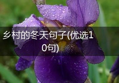 乡村的冬天句子(优选10句)