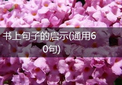 书上句子的启示(通用60句)