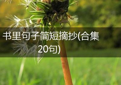 书里句子简短摘抄(合集20句)
