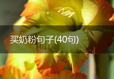 买奶粉句子(40句)