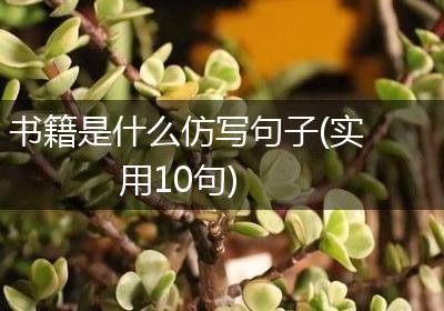 书籍是什么仿写句子(实用10句)