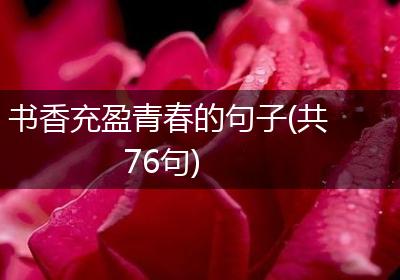 书香充盈青春的句子(共76句)