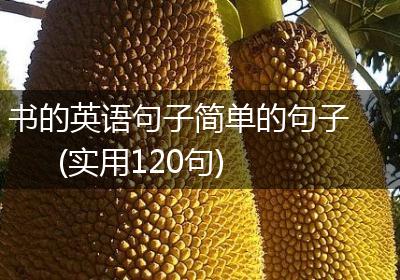 书的英语句子简单的句子(实用120句)