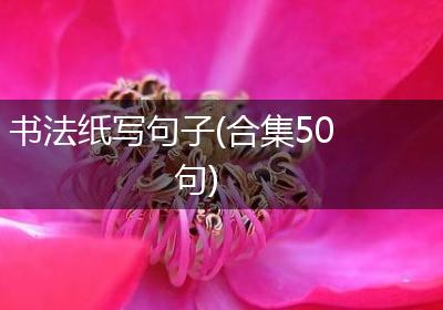 书法纸写句子(合集50句)