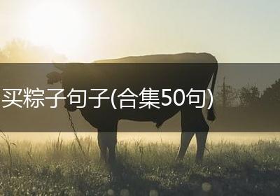 买粽子句子(合集50句)