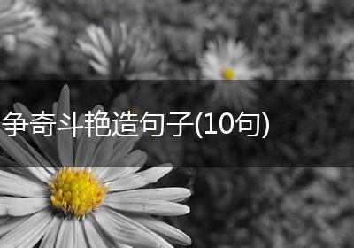 争奇斗艳造句子(10句)