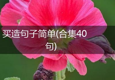 买造句子简单(合集40句)