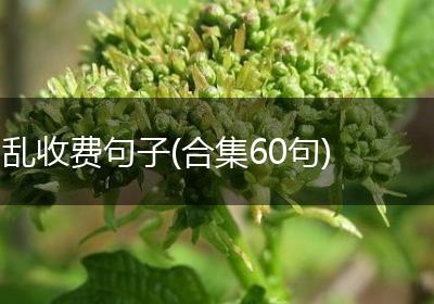 乱收费句子(合集60句)
