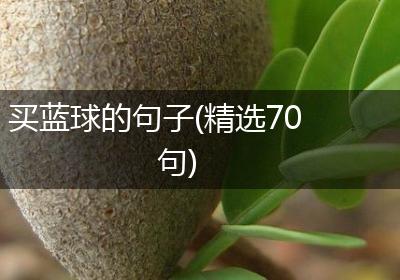 买蓝球的句子(精选70句)