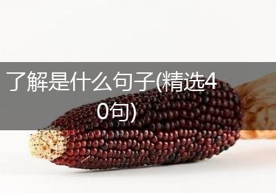 了解是什么句子(精选40句)