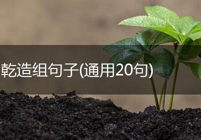 乾造组句子(通用20句)
